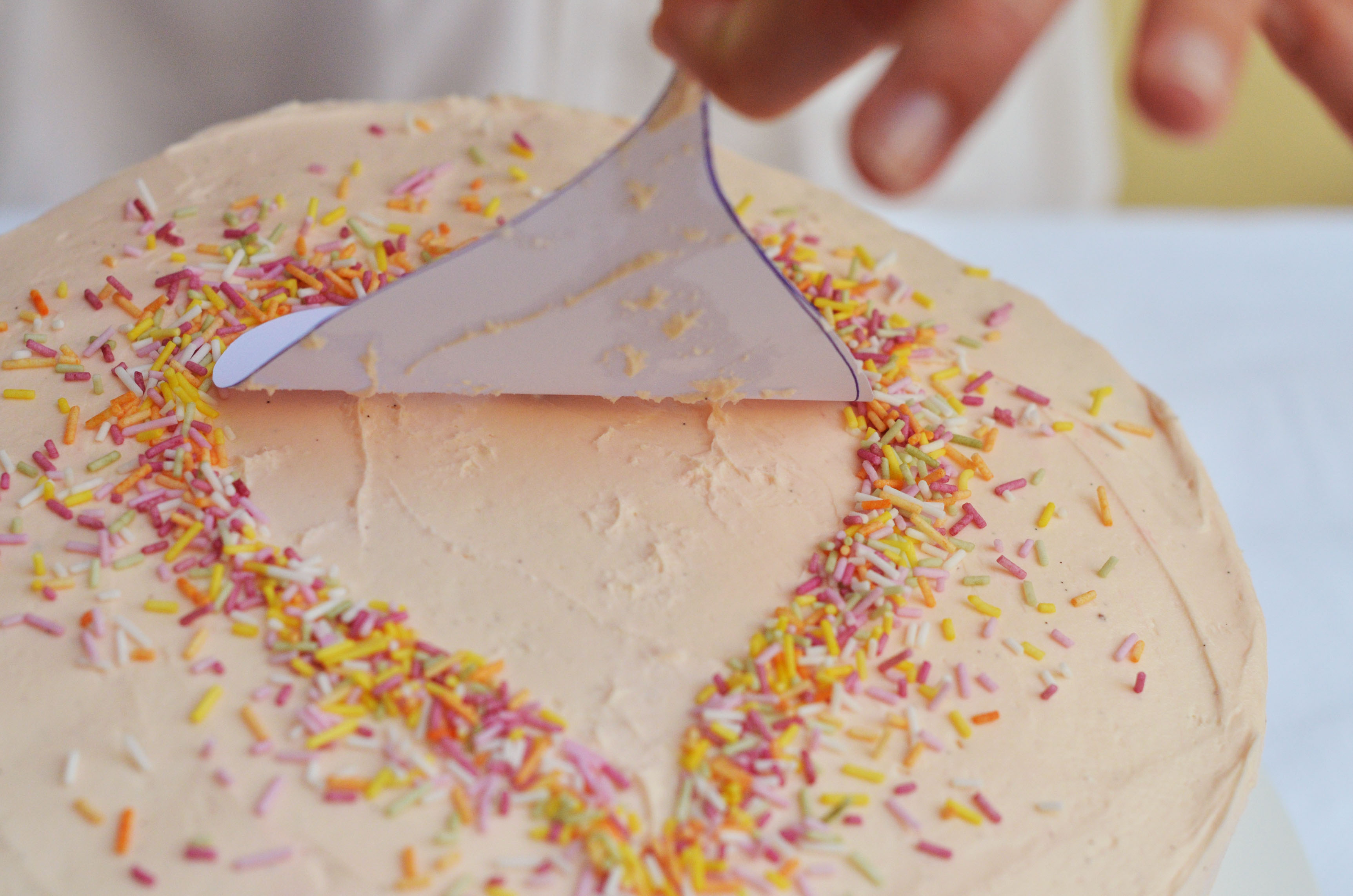 V Cake_18