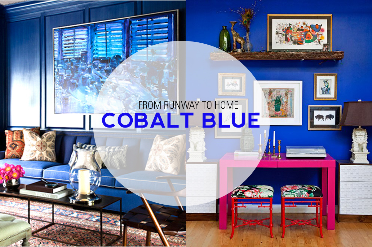 Cobalt Blue Cover