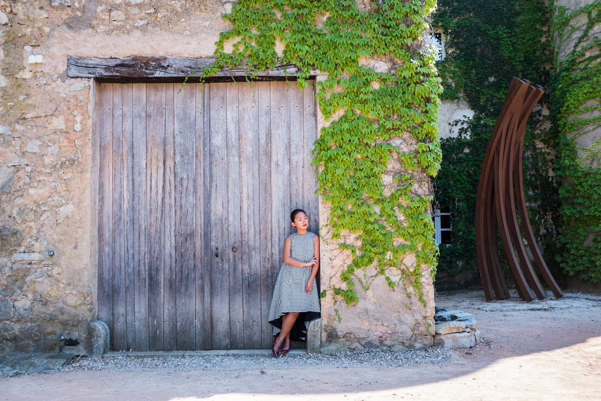 South of France Vineyard 05